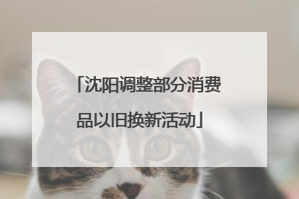 沈阳调整部分消费品以旧换新活动