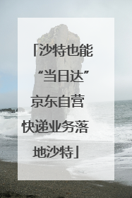 沙特也能“当日达” 京东自营快递业务落地沙特