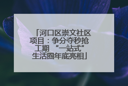 河口区崇文社区项目：争分夺秒抢工期 “一站式”生活圈年底亮相