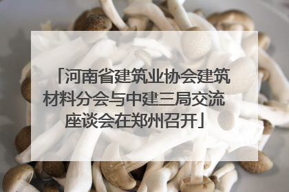 河南省建筑业协会建筑材料分会与中建三局交流座谈会在郑州召开