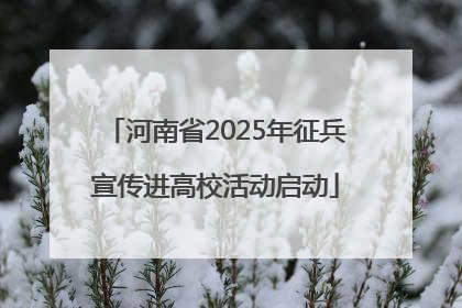 河南省2025年征兵宣传进高校活动启动
