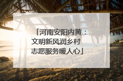 河南安阳内黄：文明新风润乡村 志愿服务暖人心