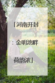 河南开封：金明池畔荷韵浓