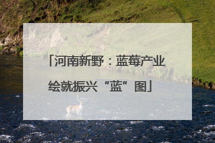 河南新野：蓝莓产业绘就振兴“蓝”图