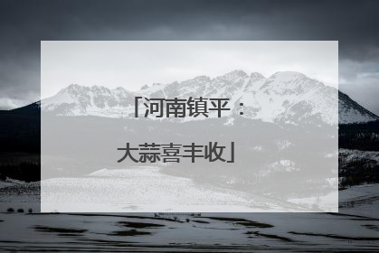 河南镇平：大蒜喜丰收