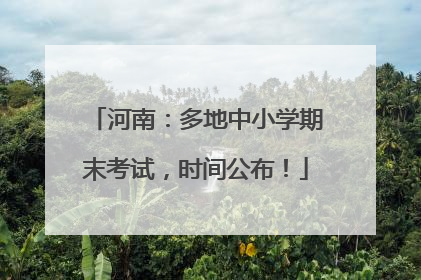 河南：多地中小学期末考试，时间公布！