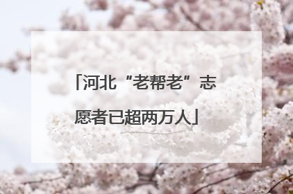 河北“老帮老”志愿者已超两万人