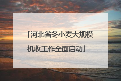 河北省冬小麦大规模机收工作全面启动