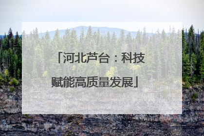 河北芦台：科技赋能高质量发展