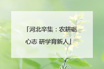 河北辛集：农耕砺心志 研学育新人