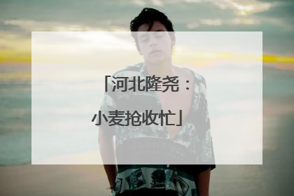 河北隆尧：小麦抢收忙