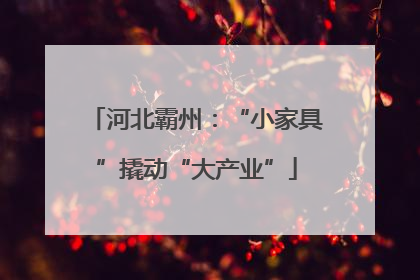 河北霸州：“小家具”撬动“大产业”