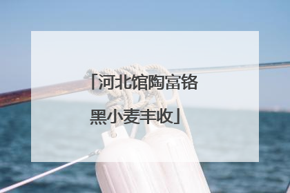 河北馆陶富铬黑小麦丰收