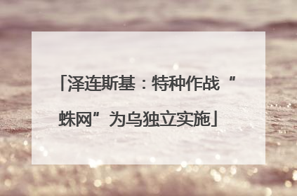 泽连斯基：特种作战“蛛网”为乌独立实施
