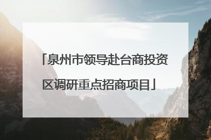 泉州市领导赴台商投资区调研重点招商项目