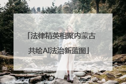 法律精英相聚内蒙古 共绘AI法治新蓝图