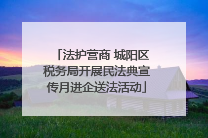 法护营商 城阳区税务局开展民法典宣传月进企送法活动