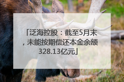 泛海控股：截至5月末，未能按期偿还本金余额328.13亿元