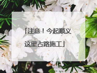 注意！今起顺义这里占路施工