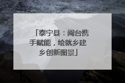 泰宁县：闽台携手赋能，绘就乡建乡创新图景