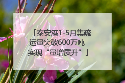 泰安港1-5月集疏运量突破600万吨 实现“量增质升”