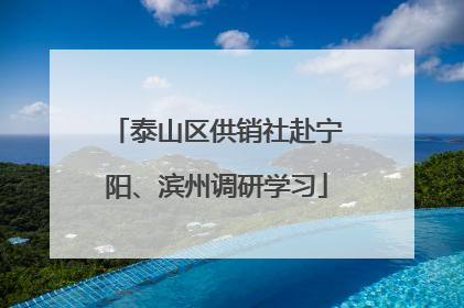 泰山区供销社赴宁阳、滨州调研学习