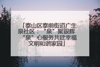 泰山区泰前街道广生泉社区：“泉”聚银辉“泉”心服务共建幸福文明和谐家园