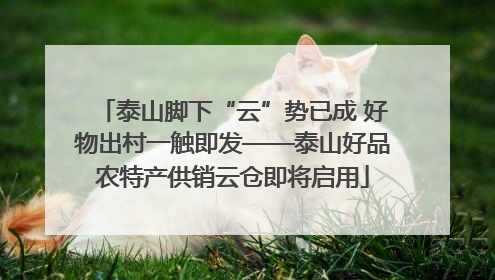 泰山脚下“云”势已成 好物出村一触即发——泰山好品农特产供销云仓即将启用