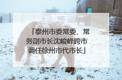 泰州市委常委、常务副市长沈峻峰跨市调任徐州市代市长