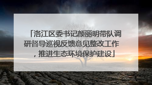 洛江区委书记颜丽明带队调研督导巡视反馈意见整改工作，推进生态环境保护建设