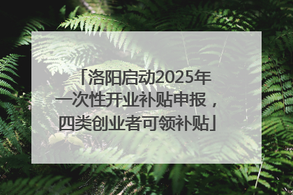洛阳启动2025年一次性开业补贴申报，四类创业者可领补贴