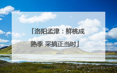 洛阳孟津：鲜桃成熟季 采摘正当时