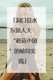 洞口县水东镇人大：“蘑菇小镇”的破局实践