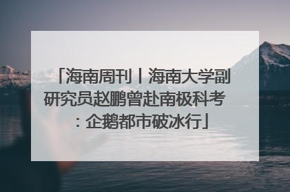海南周刊丨海南大学副研究员赵鹏曾赴南极科考：企鹅都市破冰行