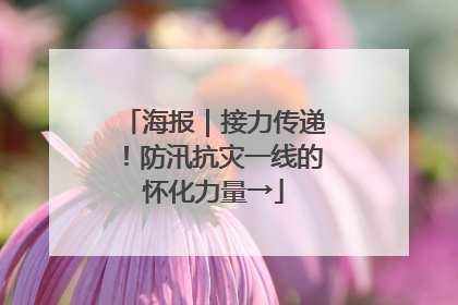 海报｜接力传递！防汛抗灾一线的怀化力量→