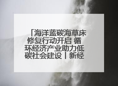 海洋蓝碳海草床修复行动开启 循环经济产业助力低碳社会建设丨新经济观察