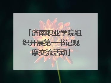 济南职业学院组织开展第一书记观摩交流活动