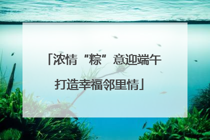 浓情“粽”意迎端午 打造幸福邻里情
