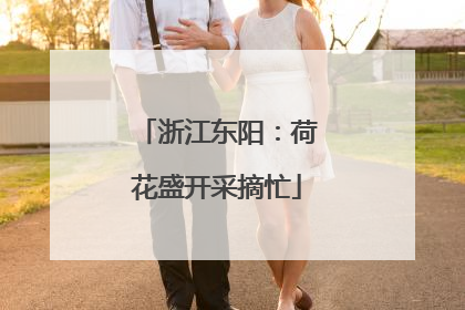 浙江东阳：荷花盛开采摘忙
