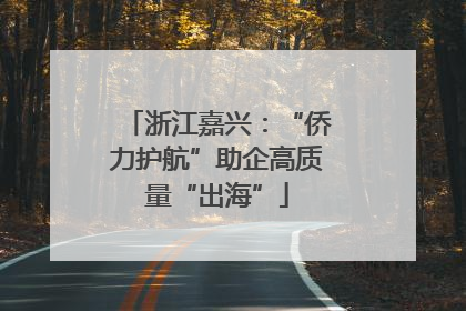 浙江嘉兴：“侨力护航”助企高质量“出海”