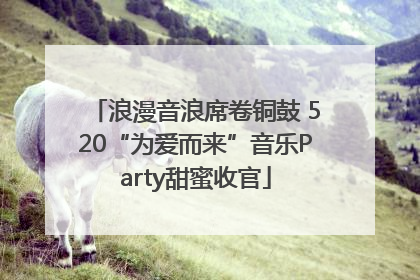 浪漫音浪席卷铜鼓 520“为爱而来”音乐Party甜蜜收官