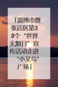 淄博市暨张店区第38个“世界无烟日”宣传活动走进“小义乌”广场