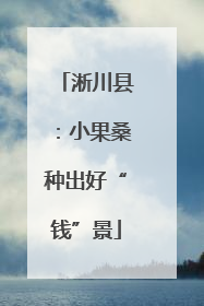 淅川县：小果桑种出好“钱”景