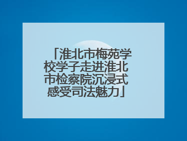 淮北市梅苑学校学子走进淮北市检察院沉浸式感受司法魅力
