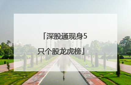深股通现身5只个股龙虎榜