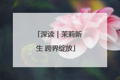 深读｜茉莉新生 跨界绽放