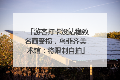 游客打卡没站稳致名画受损，乌菲齐美术馆：将限制自拍
