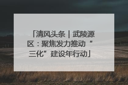 清风头条｜武陵源区：聚焦发力推动“三化”建设年行动