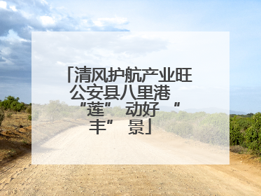 清风护航产业旺 公安县八里港 “莲” 动好 “丰” 景