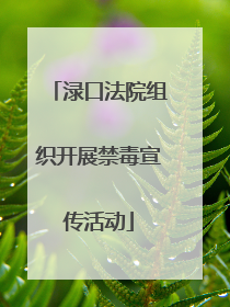 渌口法院组织开展禁毒宣传活动